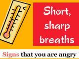 Anger Management Strategies Anger Management Strategies