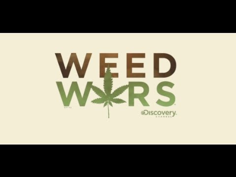 Weed Wars: Medical Marijuana Hits Reality TV