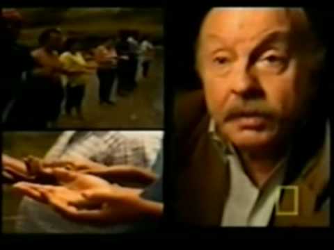 Taboo - Drugs - San Pedro, Ecstasy, Peyote Pt 1/5 Taboo - Drugs - San Pedro, Ecstasy, Peyote Pt 1/5