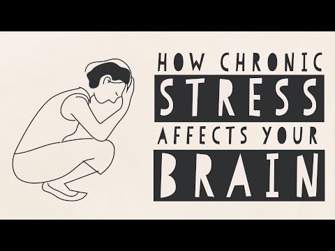 How stress affects your brain - Madhumita Murgia