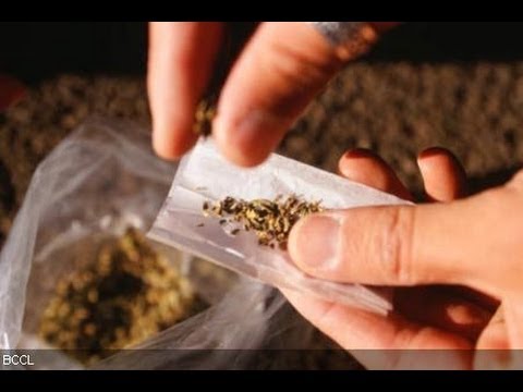 Will Canada Legalize Marijuana?