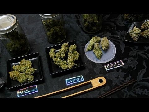 Judge Makes The Case For Medical Marijuana