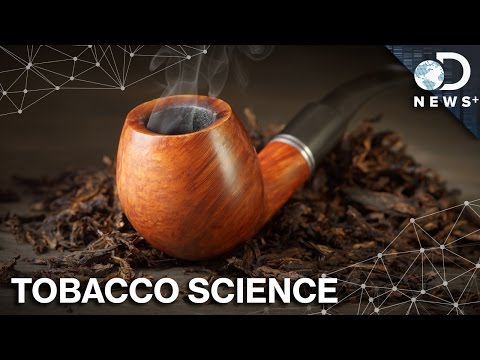 Why Tobacco Naturally Makes Addictive Poison
