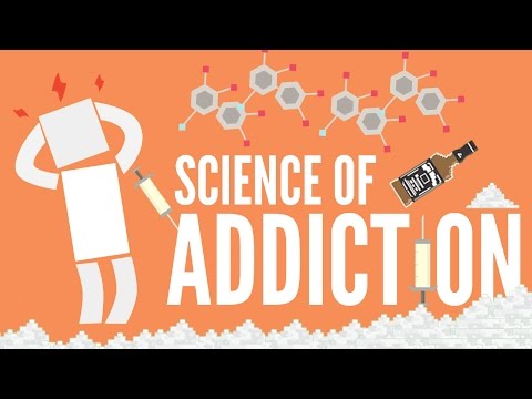 The Science of Addiction